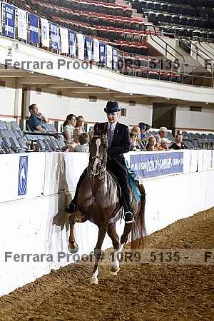 Proof 10r9_5135