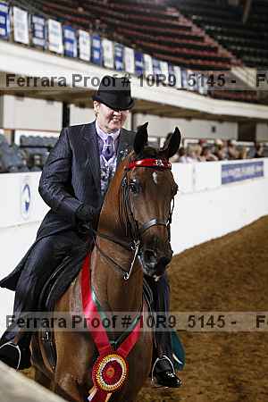 Proof 10r9_5145