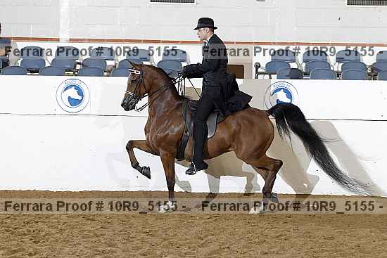 Proof 10r9_5155