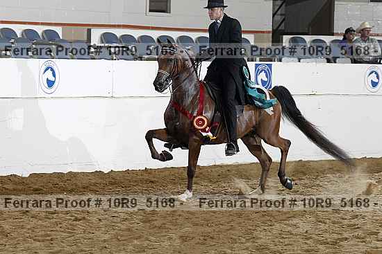 Proof 10r9_5168