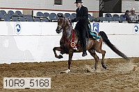 10r9_5168 proof