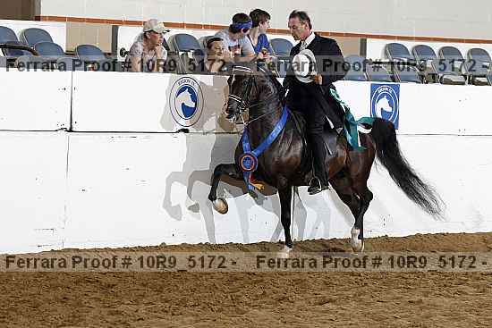 Proof 10r9_5172