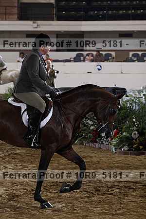 Proof 10r9_5181