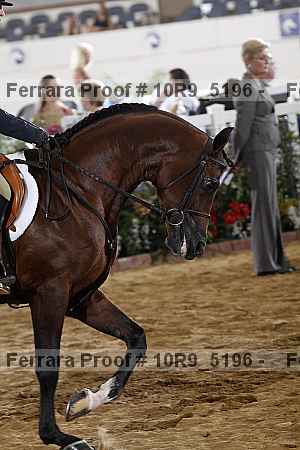 Proof 10r9_5196