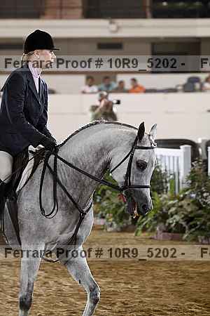 Proof 10r9_5202