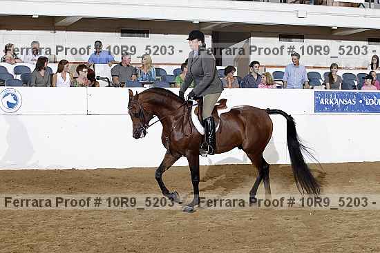 Proof 10r9_5203