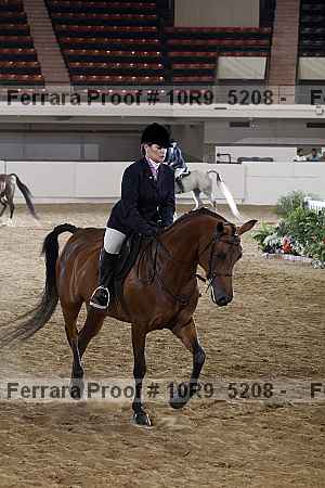 Proof 10r9_5208