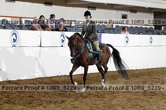 Proof 10r9_5229