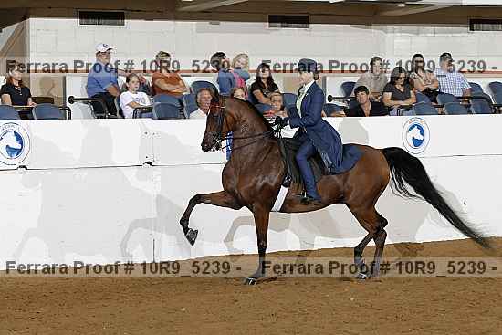 Proof 10r9_5239