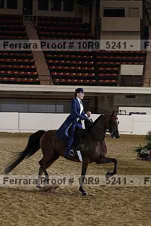 Proof 10r9_5241