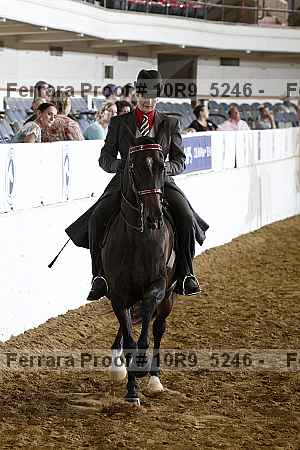 Proof 10r9_5246