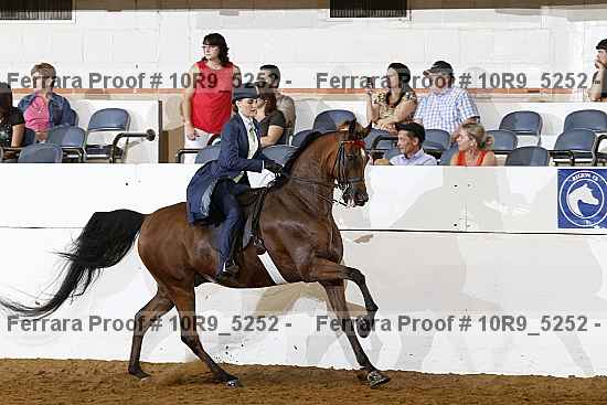 Proof 10r9_5252