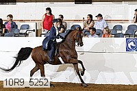 10r9_5252 proof