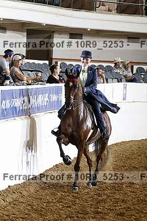 Proof 10r9_5253