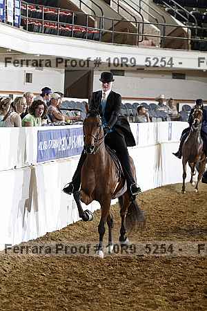 Proof 10r9_5254