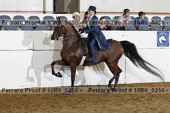 Proof 10r9_5256