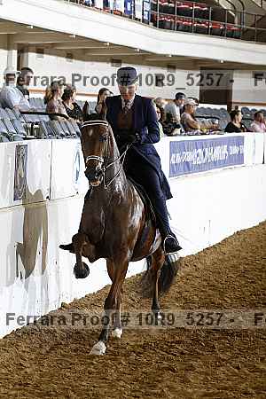 Proof 10r9_5257