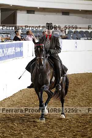 Proof 10r9_5259