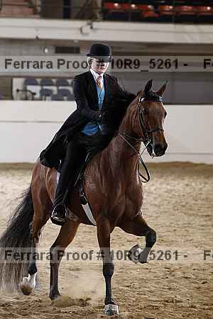 Proof 10r9_5261