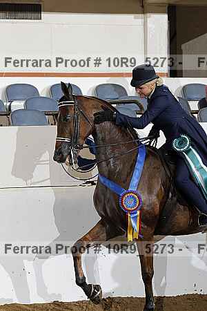 Proof 10r9_5273