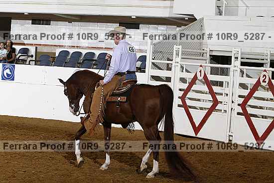 Proof 10r9_5287