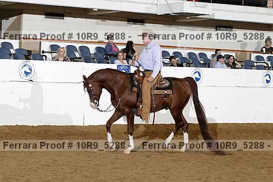 Proof 10r9_5288