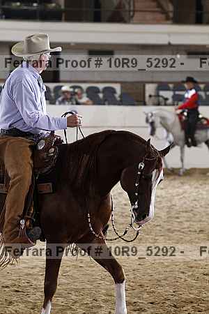 Proof 10r9_5292