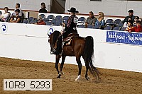 10r9_5293 proof