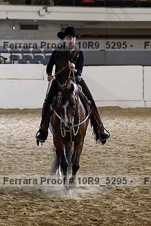 Proof 10r9_5295