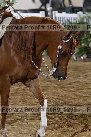 Proof 10r9_5299