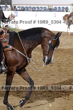 Proof 10r9_5304