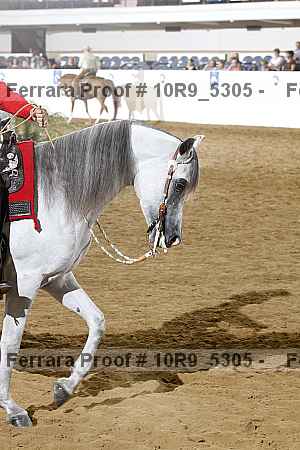 Proof 10r9_5305