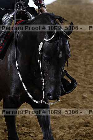 Proof 10r9_5306