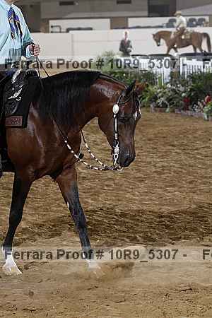 Proof 10r9_5307