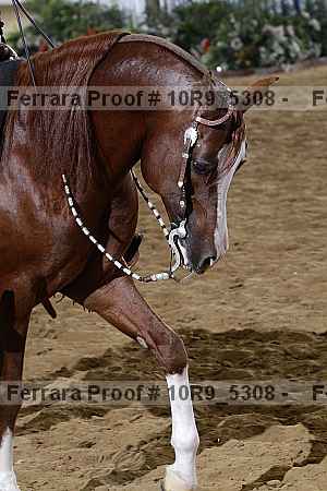 Proof 10r9_5308