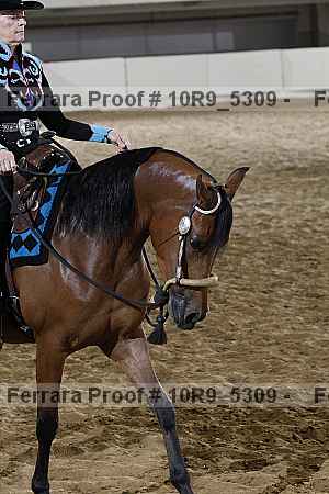 Proof 10r9_5309