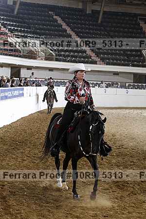 Proof 10r9_5313