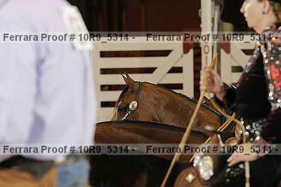 Proof 10r9_5314