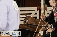 10r9_5314 proof