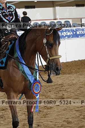 Proof 10r9_5324