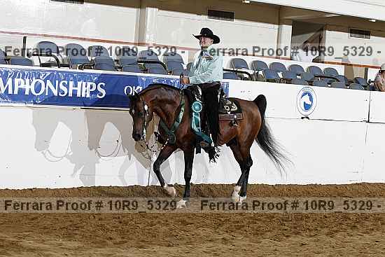 Proof 10r9_5329