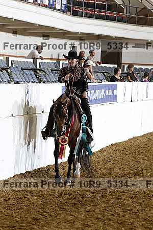 Proof 10r9_5334