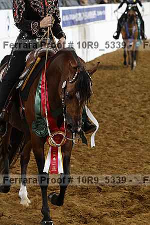 Proof 10r9_5339