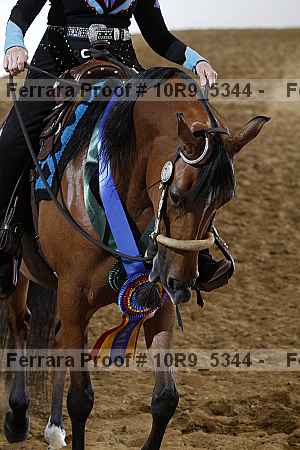 Proof 10r9_5344