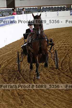Proof 10r9_5356