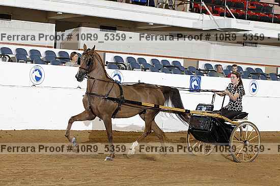 Proof 10r9_5359