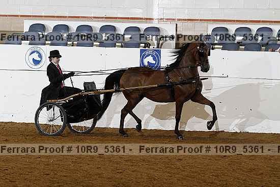 Proof 10r9_5361