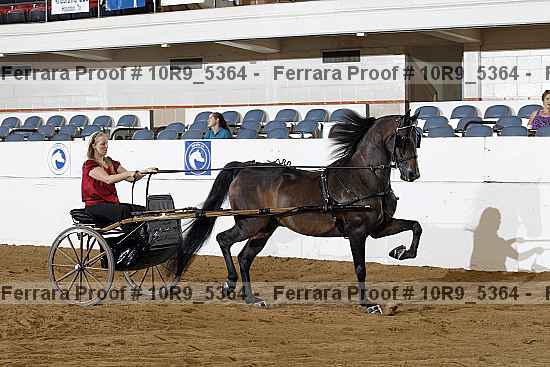 Proof 10r9_5364