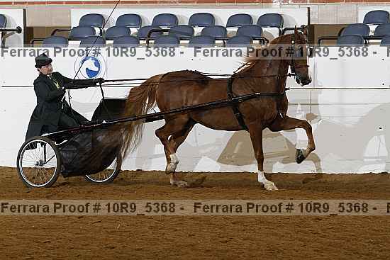 Proof 10r9_5368