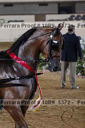 Proof 10r9_5372
